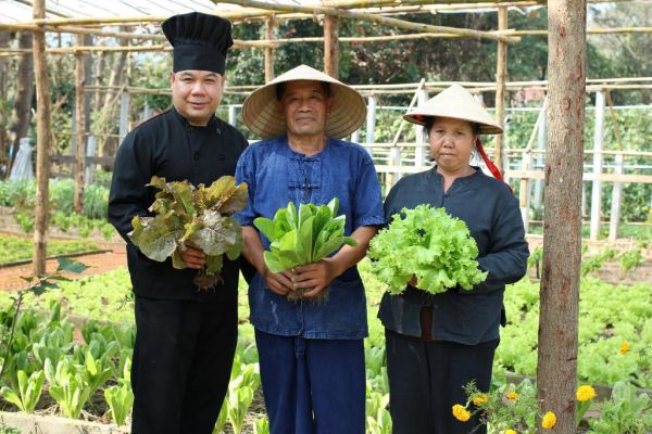 organic farm